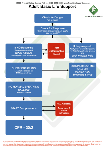 Adult BLS